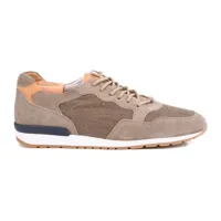 bexley sneakers homme velours taupe